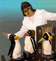 Filmbild mit drei Pinguinen (Foto: Kulturfenster)
