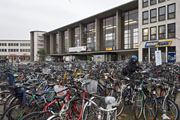 Fahrräder am Hauptbahnhof (Foto: Rothe)