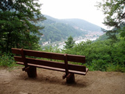 Der Heidelberger Stadtwald bietet viele schöne Aussichtspunkte