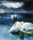 Gezeigt wird ein Foto vom Heidelberger Wolfbrunnen. Im Mittelpunkt befindet sich eine Wolfsfigur auf einer Felsformation.