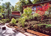 Blick auf die Bergbahn an der Station Molkenkur
