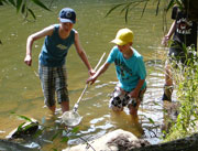 Kinder suchen am Flussufer mit einem Kescher nach Wasserlebewesen.