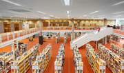 Über 230.000 Bücher und andere Medien in der Stadtbücherei warten darauf, gelesen, angesehen oder gehört zu werden.