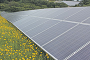 Zwei Reihen Solar Panels ziehen sich über eine blühende Wiese — der Solarpark in Mehring