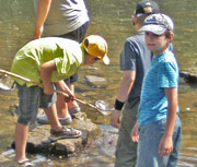 Kinder untersuchen das Wasser in der Elsenz