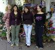 Die vier leidenschaftlichen Floristinnen vor ihrem gemütlichen Lädchen im Zentrum des Heidelberger Stadtlebens