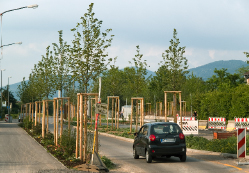 Während mitten in Kirchheim noch kräftig gebaut wird, säumen am  Stadtteileingang bereits Bäume die Straßenbahntrasse. (Foto: Rothe)