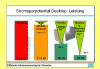 Grafische Darstellung Stromsparpotential Stand-by-Modi verschiedener PC-Componenten