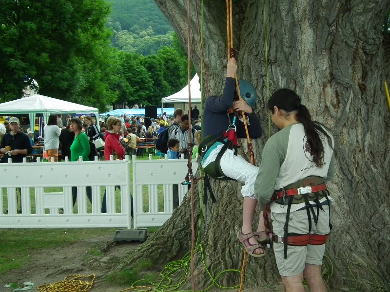 52_lebend_neckar_DSCF2181_melchert.JPG - Impressionen vom "Lebendigen Neckar 2010" (Foto: Melchert)