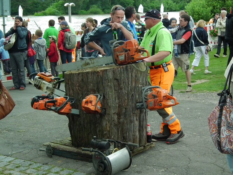 52_lebend_neckar_DSCF2189_melchert.JPG - Impressionen vom "Lebendigen Neckar 2010" (Foto: Melchert)