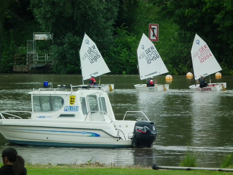 52_lebend_neckar_DSCF2263_melchert.JPG - Impressionen vom "Lebendigen Neckar 2010" (Foto: Melchert)