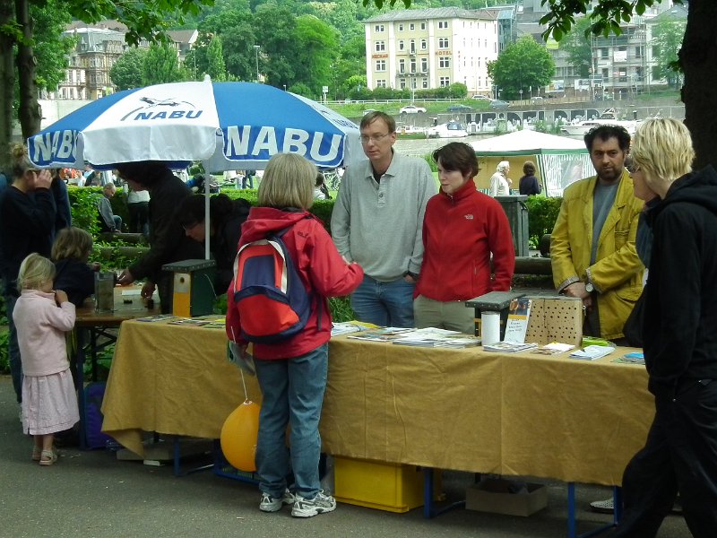 52_lebend_neckar_DSCF2537_melchert.JPG - Impressionen vom "Lebendigen Neckar 2010" (Foto: Melchert)
