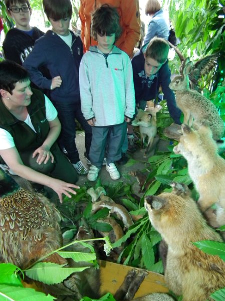 52_lebend_neckar_DSCF2650_melchert.JPG - Impressionen vom "Lebendigen Neckar 2010" (Foto: Melchert)
