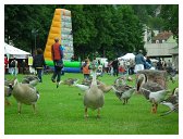52_lebend_neckar_DSCF2140_melchert