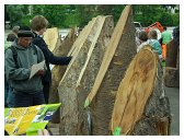 52_lebend_neckar_DSCF2184_melchert