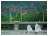 52_lebend_neckar_DSCF2200_melchert