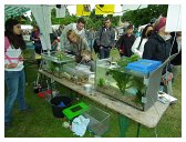 52_lebend_neckar_DSCF2301_melchert
