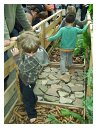 52_lebend_neckar_DSCF2518_melchert