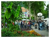 52_lebend_neckar_DSCF2553_melchert
