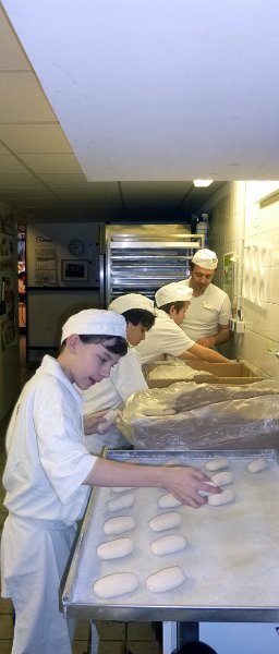 P1010044.jpg - Boys‘ Day 2013 bei der Bäckerei Kamps. (Foto: Interkulturelles Bildungszentrum Mannheim, Ausbildungsverbund Heidelberg)