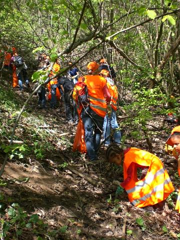 CIMG0723.JPG - Die freiwilligen Helfer/innen putzten gut ausgerüstet mit Zangen, Handschuhen und Müllsäcken quer durch den Wald. Auch kleine Kletterpartien waren kein Hindernis. Anschließend wurde gegrillt. (Foto: Stadt Heidelberg)