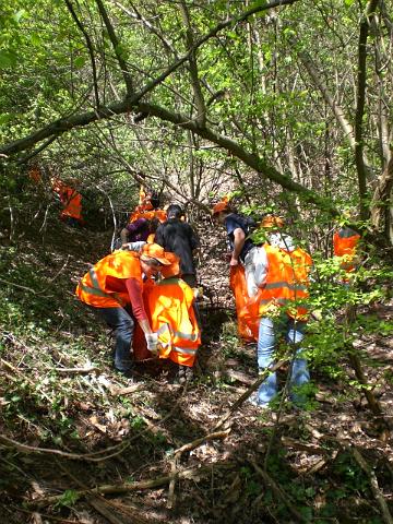 CIMG0724.JPG - Die freiwilligen Helfer/innen putzten gut ausgerüstet mit Zangen, Handschuhen und Müllsäcken quer durch den Wald. Auch kleine Kletterpartien waren kein Hindernis. Anschließend wurde gegrillt. (Foto: Stadt Heidelberg)