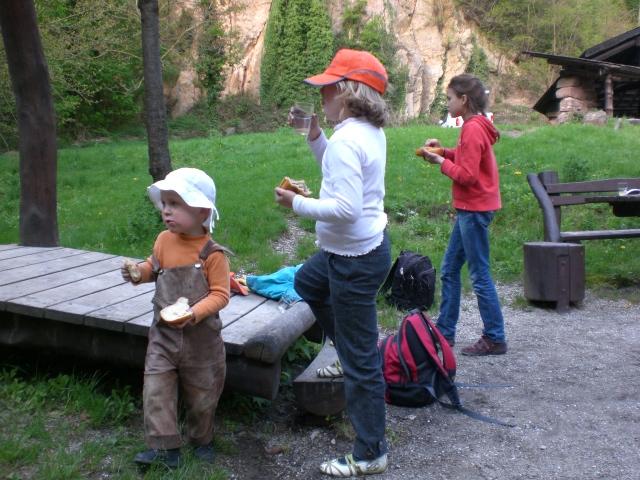 CIMG0737.JPG - Die freiwilligen Helfer/innen putzten gut ausgerüstet mit Zangen, Handschuhen und Müllsäcken quer durch den Wald. Auch kleine Kletterpartien waren kein Hindernis. Anschließend wurde gegrillt. (Foto: Stadt Heidelberg)
