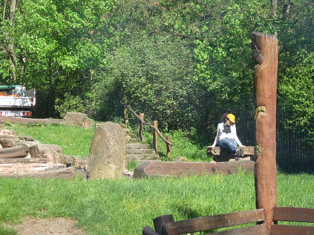 IMG_0198.JPG - Die freiwilligen Helfer/innen putzten gut ausgerüstet mit Zangen, Handschuhen und Müllsäcken quer durch den Wald. Auch kleine Kletterpartien waren kein Hindernis. Anschließend wurde gegrillt. (Foto: Stadt Heidelberg)