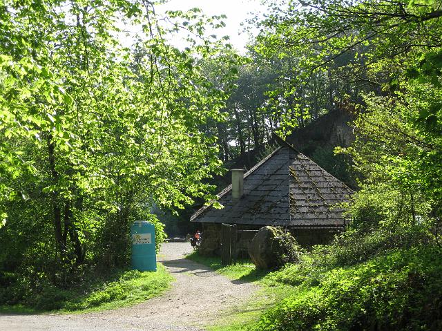 IMG_0220.JPG - Die freiwilligen Helfer/innen putzten gut ausgerüstet mit Zangen, Handschuhen und Müllsäcken quer durch den Wald. Auch kleine Kletterpartien waren kein Hindernis. Anschließend wurde gegrillt. (Foto: Stadt Heidelberg)