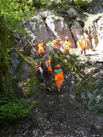 P1010738.JPG - Die freiwilligen Helfer/innen putzten gut ausgerüstet mit Zangen, Handschuhen und Müllsäcken quer durch den Wald. Auch kleine Kletterpartien waren kein Hindernis. Anschließend wurde gegrillt. (Foto: Stadt Heidelberg)