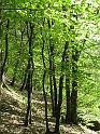 IMG_0221