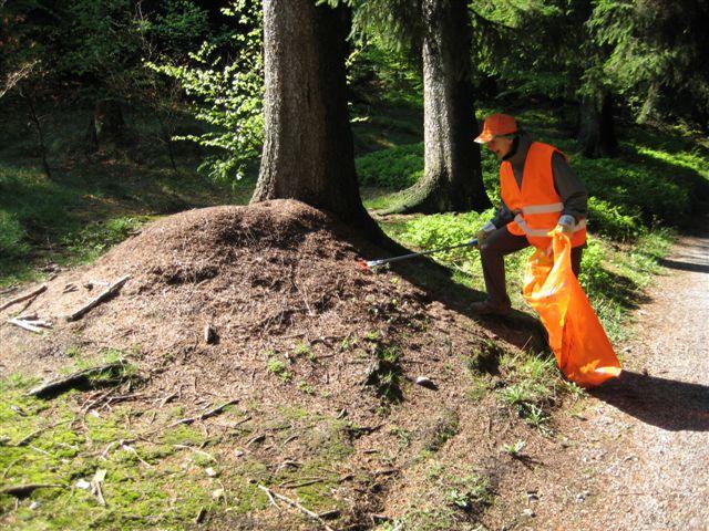 IMG_0019.JPG - Gut ausgerüstet mit Zangen, Handschuhen und Müllsäcken haben die freiwilligen Putzer/innen auch rund um den Parkplatz Langer Kirschbaum sauber gemacht. Die Attraktion der Veranstaltung war die Besteigung des Teltschik-Turms und der Erlebnispfad „Abenteuer Wald“. Anschließend wurde gegrillt. (Foto: Stadt Heidelberg)