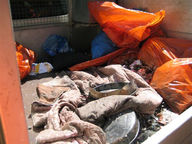 IMG_0050.JPG - Gut ausgerüstet mit Zangen, Handschuhen und Müllsäcken haben die freiwilligen Putzer/innen auch rund um den Parkplatz Langer Kirschbaum sauber gemacht. Die Attraktion der Veranstaltung war die Besteigung des Teltschik-Turms und der Erlebnispfad „Abenteuer Wald“. Anschließend wurde gegrillt. (Foto: Stadt Heidelberg)