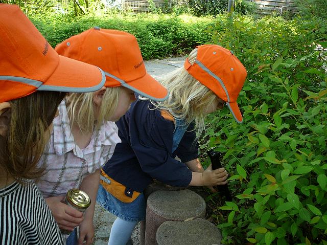 P1040297.JPG - Die Bären und Elefantengruppe der Kindertagesstätte Pusteblume haben am 21.4. die Spielplätze im Gewannsee und im Burnhofweg gesäubert. (Foto: Stadt Heidelberg)