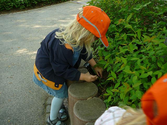 P1040299.JPG - Die Bären und Elefantengruppe der Kindertagesstätte Pusteblume haben am 21.4. die Spielplätze im Gewannsee und im Burnhofweg gesäubert. (Foto: Stadt Heidelberg)