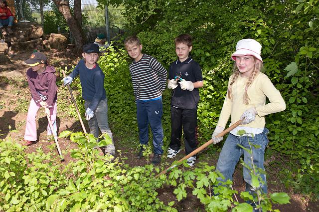 Waldorfschule-068.jpg - Die ganze Schule beteiligte sich am Frühjahrsputz. Sie haben dabei nicht nur die Umgebung der Schule von den herum liegenden Abfällen gesäubert. Und da sie schon dabei waren, haben sie gleich auch das Schulgelände von Unkraut befreit und für den Sommer vorbereitet. (Foto: Rothe)