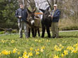 Zoodirektor Dr. Klaus Wünnemann (links) und Pfleger Artur Assmann üben schon mal Ostereier verteilen mit den Poitou-Eseln. 