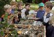 Auf dem Kinder-Umwelt-Kongress untersuchen die kleinen Fachleute allerlei Pilze aus dem Wald. (Archivfoto: Rothe)