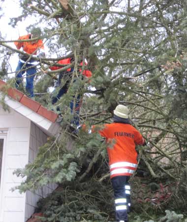Feuerwehrleute in einem Baum, der umgekippt schräg an einem Haus lehnt.
