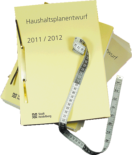 Grafik des Haushaltsplanentwurf (Foto: Stadt Heidelberg)