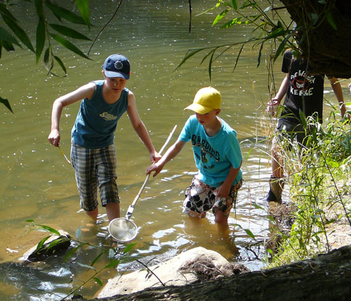 Kinder suchen am Flussufer mit einem Kescher nach Wasserlebewesen.