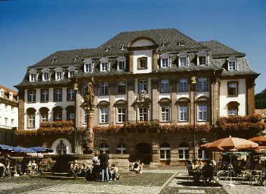 Das Heidelberger Rathaus 